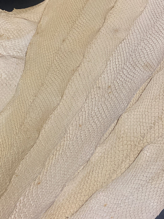 Salmon leather fish leather natural.