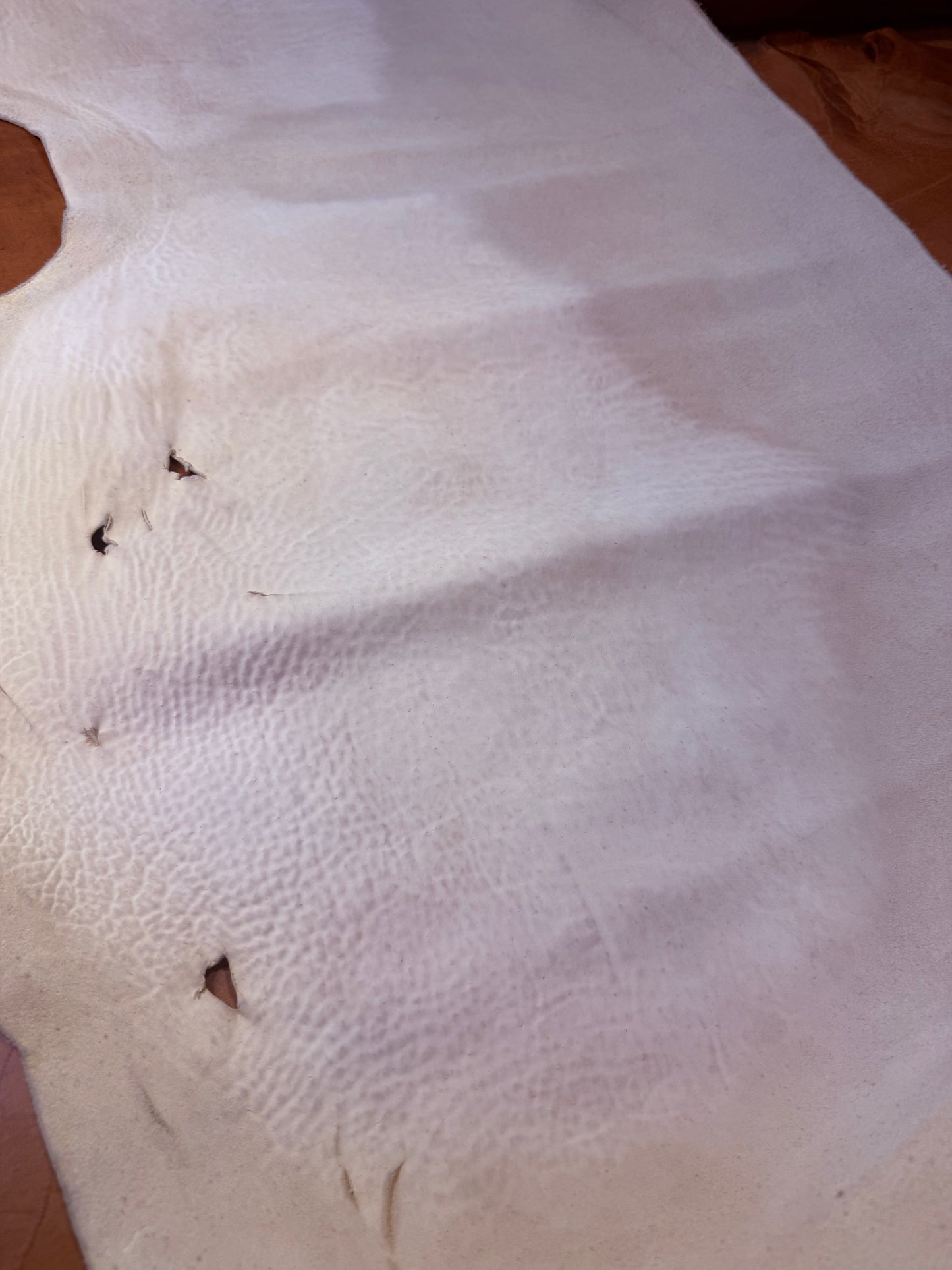 Horse leather Culatta 1,08 sqm. Col. Dirty White. 2,2-2,8 mm. Dirty white tanned