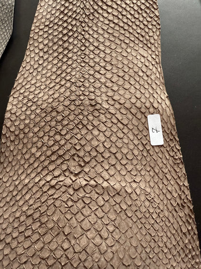 Cuero de salmón Cuero de pescado Colorido