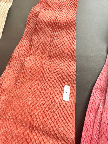 Cuero de salmón Cuero de pescado Colorido