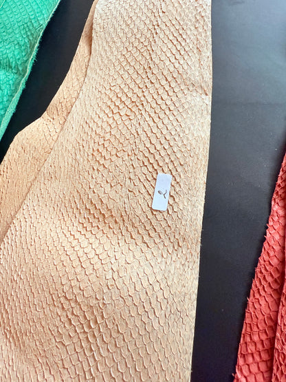 Cuero de salmón Cuero de pescado Colorido